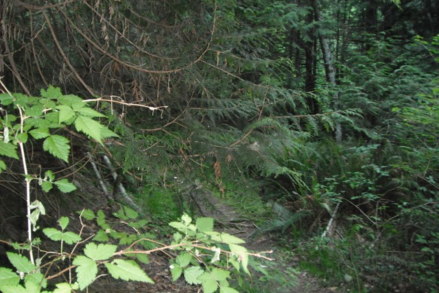 Is it easier with a flash?