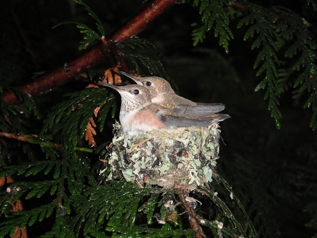 back to safety (June 18, morning)