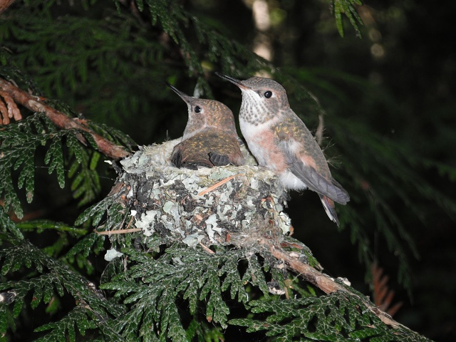 More practice (June 18, afternoon)