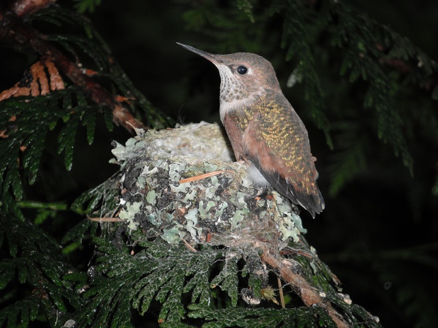 On my own (June 19, morning)